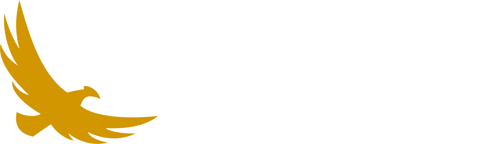 Lagomarsino Capital Group